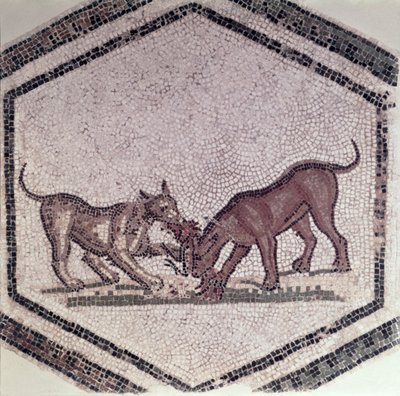 Honden Vechten om een Vogel, Romeins, 2e-3e eeuw door Roman